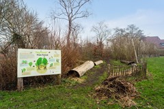 41. Boterbloemweide 86_59.jpg